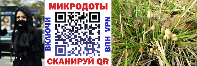 ссылка на мегу ссылки  Сибай  Галлюциногенные грибы мицелий 